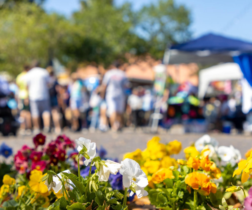 Targi, festiwale, kiermasze… Gdzie w Polsce w 2026 roku bije ogrodnicze serce?