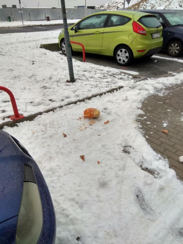 Latająca dynia na Ursynowie