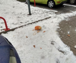 Latająca dynia na Ursynowie