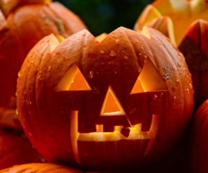 Dynia na Halloween krok po kroku. Jak zrobić efektowny lampion?