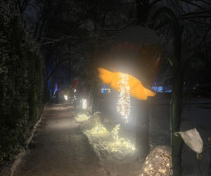 MagicznyBotaniczny 2025/2026 w Warszawie