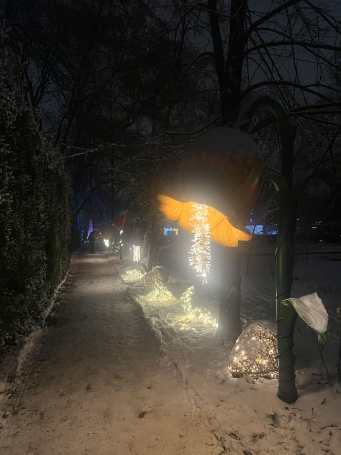 MagicznyBotaniczny 2025/2026 w Warszawie