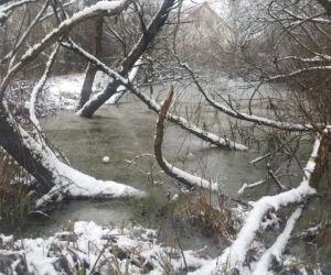 Zima na Górkach Fordońskich