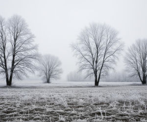 Mróz atakuje Ostrołękę 20.11.2025. Czy to początek zimowego koszmaru?