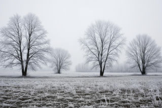 Mróz atakuje Ostrołękę 20.11.2025. Czy to początek zimowego koszmaru?