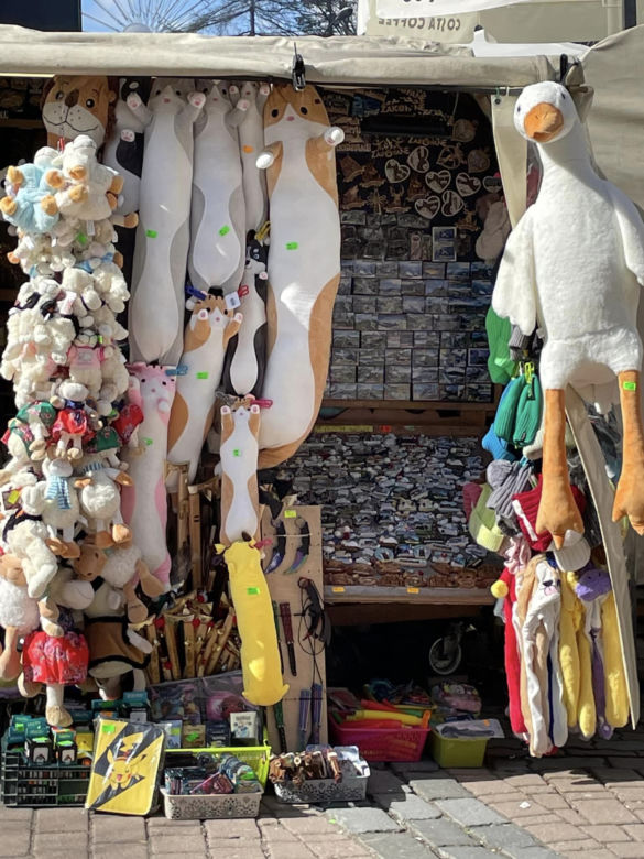 Nowy HIT na Krupówkach. Zakopane opanowała pewna... gęś