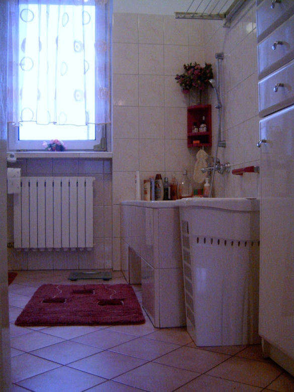 Zdjęcie 7532