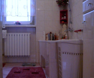 Zdjęcie 7532