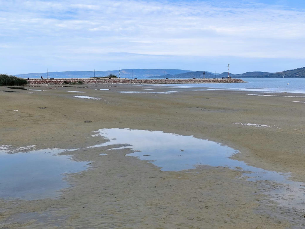 Balaton wysycha i zamienia się w kałużę. Potężne jezioro odsłoniło dno
