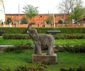 Pomnik słonia w Szczecinie