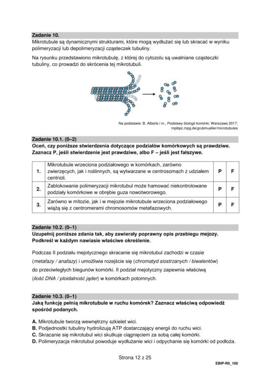 Matura 2022: biologia rozszerzona. Arkusze CKE, zadania, pytania. Poziom rozszerzony