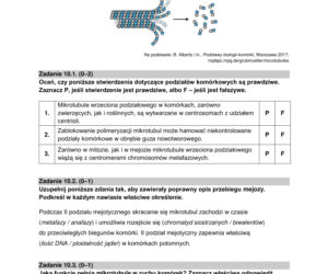 Matura 2022: biologia rozszerzona. Arkusze CKE, zadania, pytania. Poziom rozszerzony