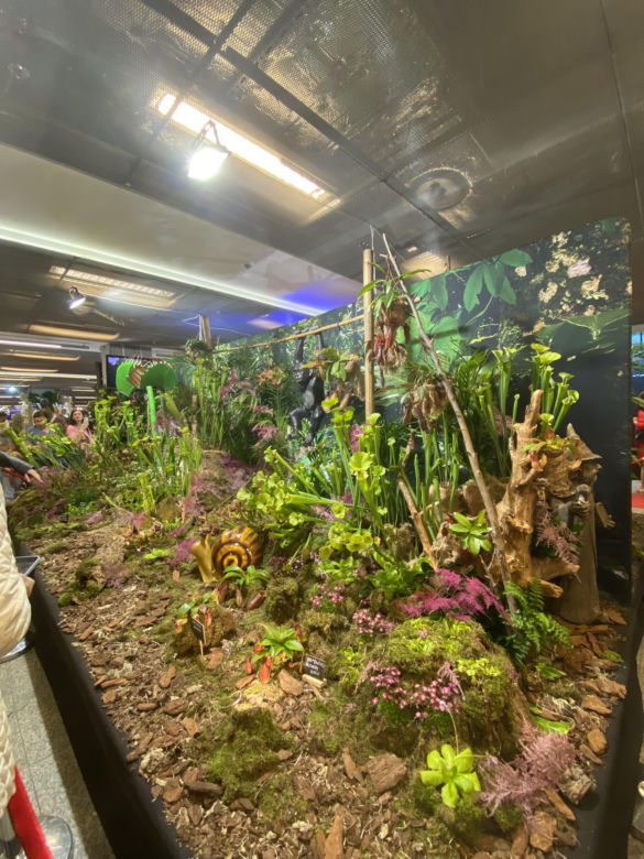 "Potworne Cuda", Światowa Wystawa Orchidei, Bonsai i Sukulentów oraz targi roślin na PGE Narodowym