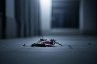 Krzyżanowice szokują. Kto stoi za zniszczeniem świątecznych dekoracji?