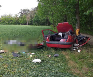 Tragiczne w skutkach uderzenie w drzewo