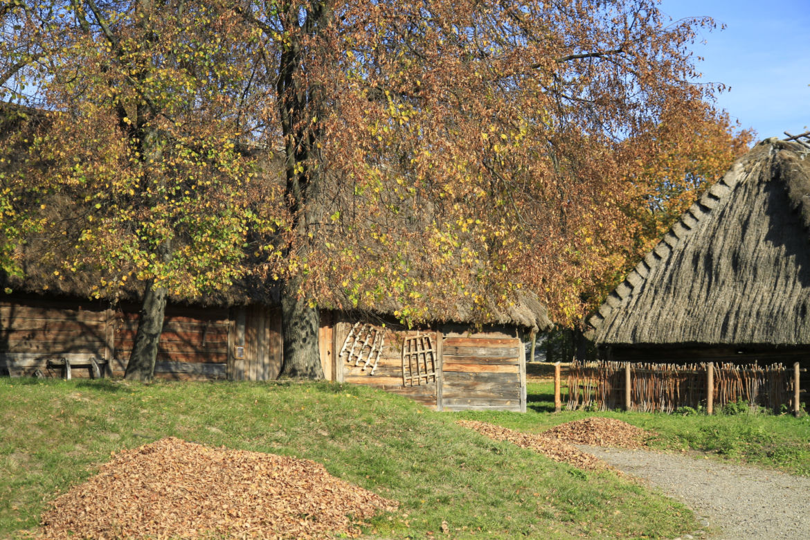 Złota polska jesień w Muzeum Wsi Lubelskiej