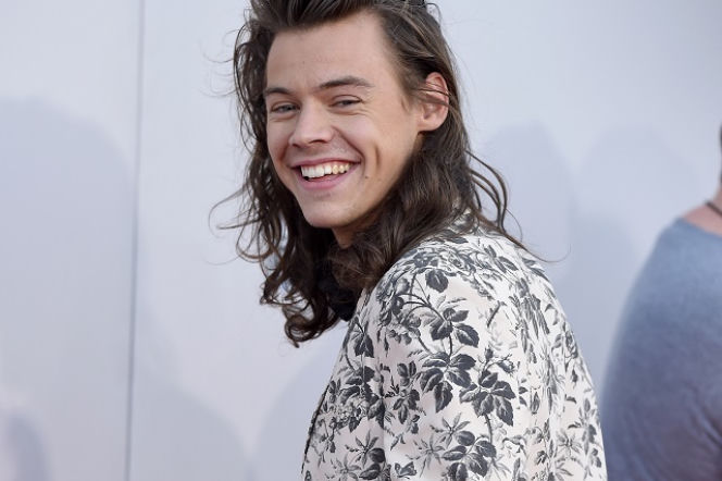 Harry Styles - 23. urodziny. Zawieszenie One Direction dało mu możliwości rozwoju!