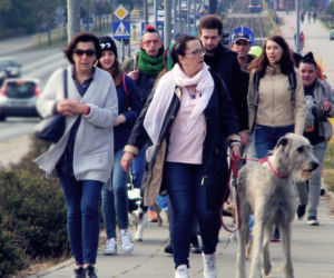 Radosna Parada Psów Adoptowanych przeszła ulicami Bydgoszczy!
