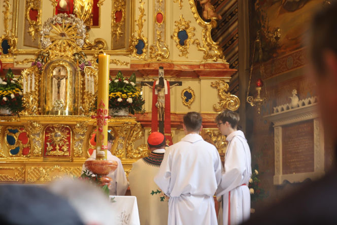 Wiosenny redyk w Ludźmierzu