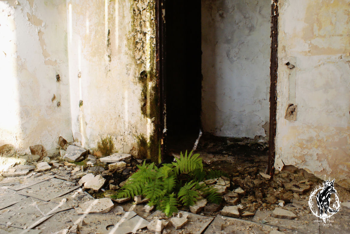 Opuszczone sanatorium na południu Polski. Czas się tutaj zatrzymał. Zobaczcie