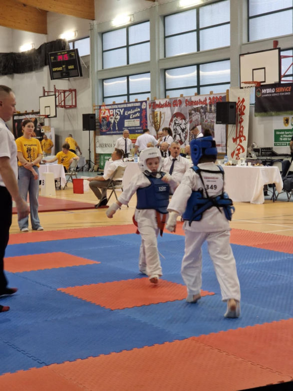 V Kyokushin Cup