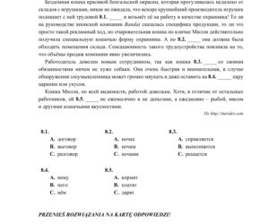 ARKUSZE CKE - Matura j. rosyjski - poziom podstawowy 2019