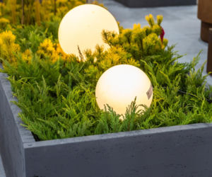 BUDMA 2026 - zdjęcia