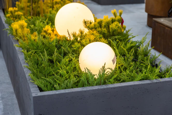 BUDMA 2026 - zdjęcia