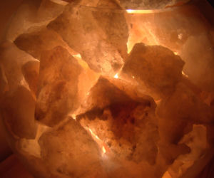 Cieplarnia