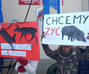 W Krakowie będą polować w najlepsze. Radni odrzucili rezolucję do władz województwa