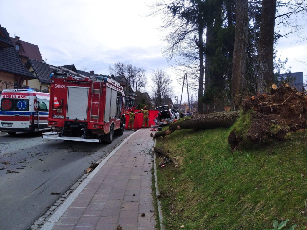 Tragedia w Zakopanem. Drzewo spadło na samochód. Młoda kobieta nie żyje