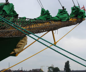 Alexander von Humboldt II