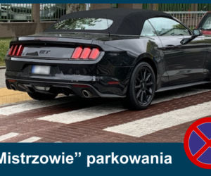 Mistrzowie parkowania. Tak kierowcy parkują w Warszawie