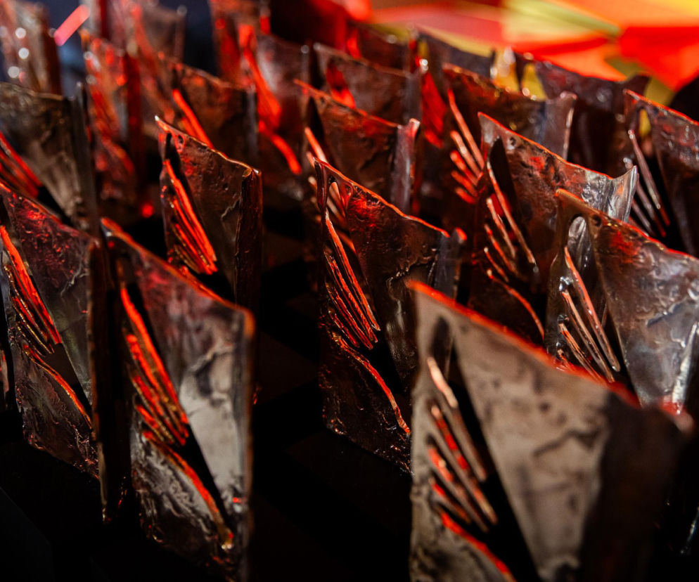Rzędy metalowych statuetek PR Wings podświetlonych na czerwono. O nowej edycji konkursu przeczytasz na SE Portal Obronny.