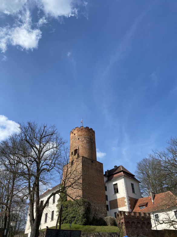 Wieże widokowe w Lubuskiem. Gdzie się znajdują?