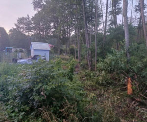 Poranne dachowanie w Wąchocku. Dwie osoby trafiły do szpitala