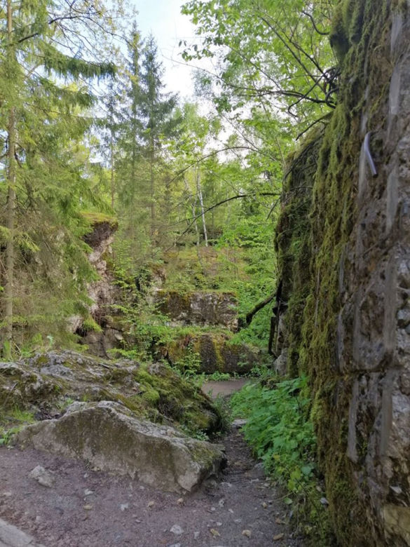 Wilczy Szaniec. Zobacz zdjęcia dawnej kwatery Adolfa Hitlera