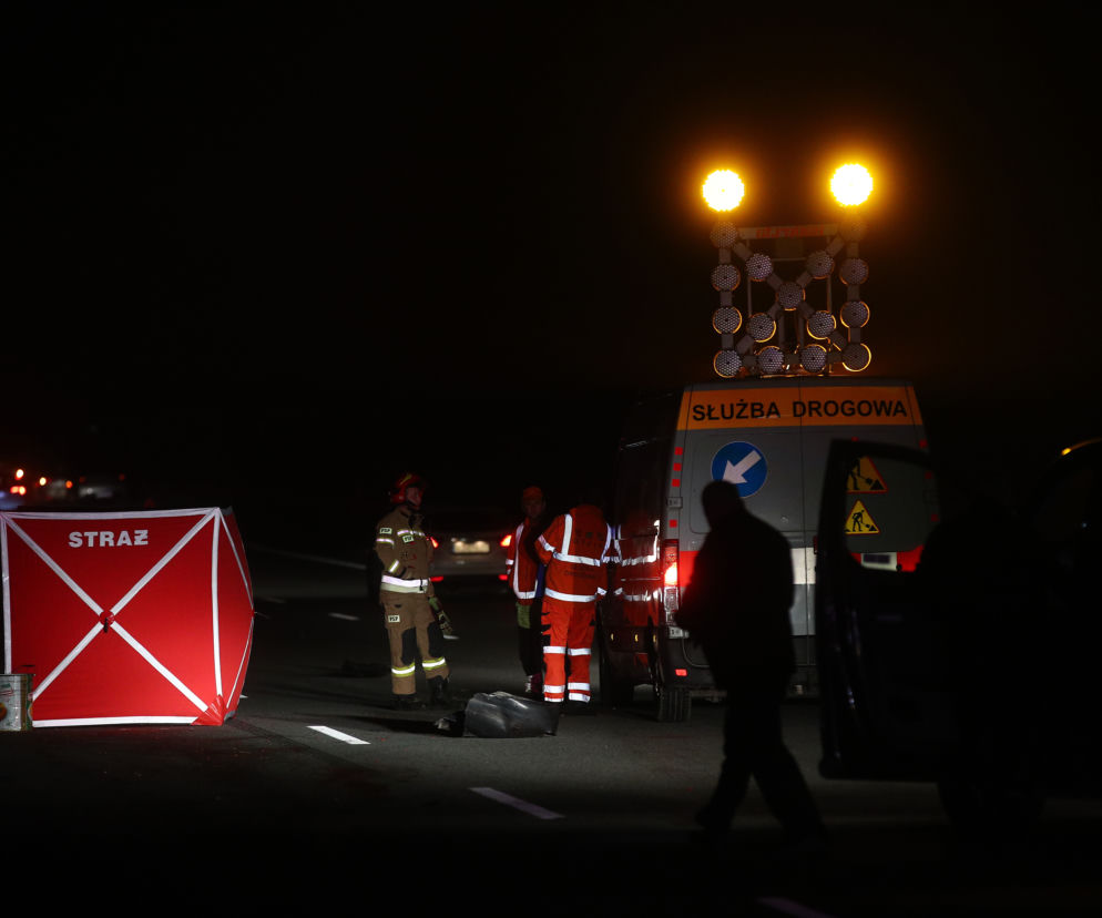 Dramatyczny wypadek w Nieporęcie. Samochód wjechał wprost pod ciężarówkę. Kierowca nie żyje