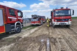 Ogromne straty po pożarze wielkiego kurnika w Lipinkach. W środku trzymano blisko 2 tysiące bażantów