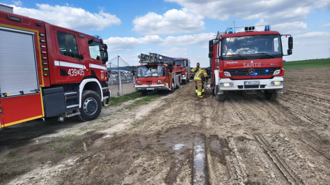 Ogromne straty po pożarze wielkiego kurnika w Lipinkach. W środku trzymano blisko 2 tysiące bażantów