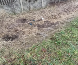Zabił Walentynę, bo chciała od niego odjeść. Koszmar na Mazowszu