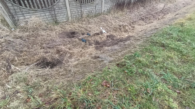 Zabił Walentynę, bo chciała od niego odjeść. Koszmar na Mazowszu