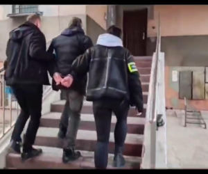 Miesiącami znęcał się nad swoją partnerką, nie oszczędził też jej psa. Wyrzucił Maltańczyka przez okno!