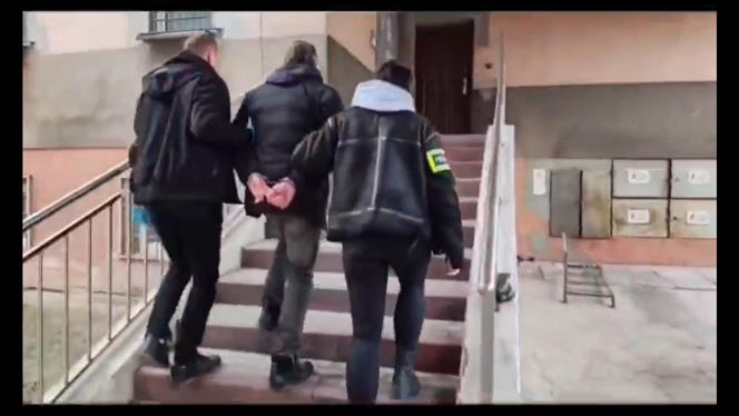 Miesiącami znęcał się nad swoją partnerką, nie oszczędził też jej psa. Wyrzucił Maltańczyka przez okno!