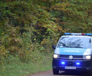 Śmierć po jednym ciosie. Tragiczny finał kłótni w lesie