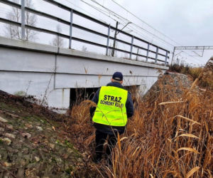 Zgłoszenie z monitoringu przy torach w woj. lubelskim