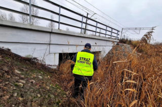 Zgłoszenie z monitoringu przy torach w woj. lubelskim