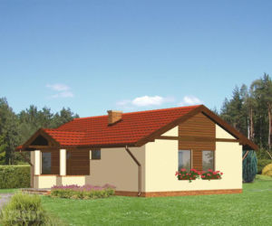 Projekt D06 Mały