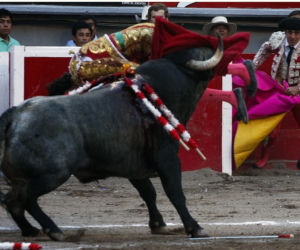 Jose Tomas matador ugodzony rogiem przez byka