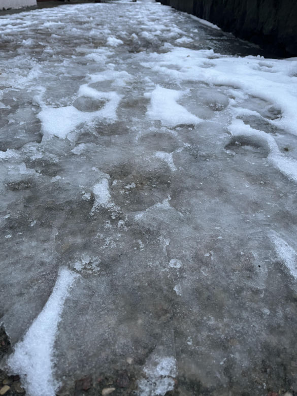 Śnieg w Szczecinie